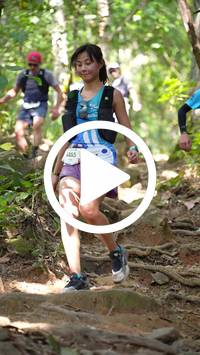 BIB:  <button type="button" onclick="openModal(27579593)" class="btn btn-primary btn-sm float-right" data-toggle="modal" data-target=".modal-high-quality">
                <i class="fa fa-download"></i> Download
                </button>